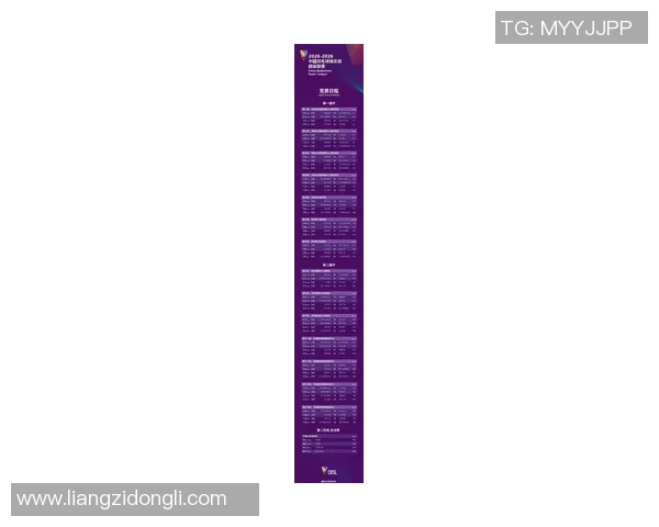 聚焦羽毛球赛事杭州羽毛球队状态分析与未来展望